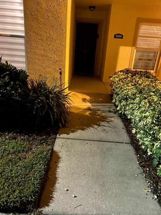 Disney Kissimmee Condo Apartment Kissimmee